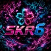 フォートナイトチームSKR6