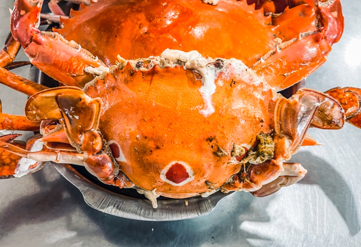 下雨撐傘也要吃！萬里最強「螃蟹料理」排隊１小時起，爽嗑清蒸沙公、三點蟹