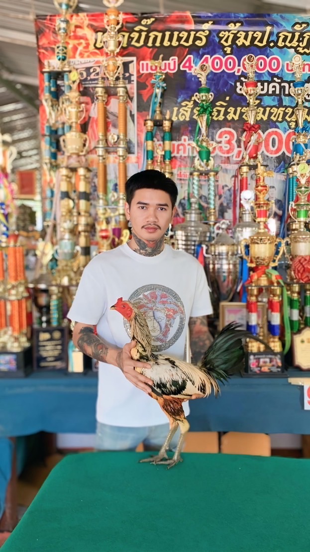 บิ๊กกรวีร์ฟาร์ม ราชบุรี