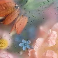『 零化工 ◆ 全天然保養品 』
