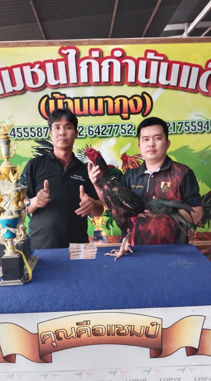 ซุ้มบ้านสวนน้องอคิณฟาร์มป่าก๋อยพัฒนา สายตีดำ สโลหลัง เจ้าอินทรีย์ดำ
