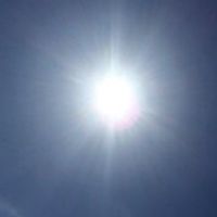 赤いそれいゆ