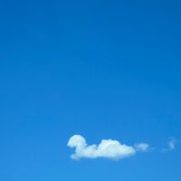 ふっちー監督に教わる携帯de映え動画