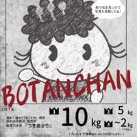 ぼたんちゃんを探せ！