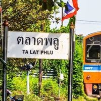 ตลาดพลูมีอะไร