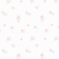 form gean 𓐄 ba 𓐄 fibcake𓈒 ♡♡ ☁️
