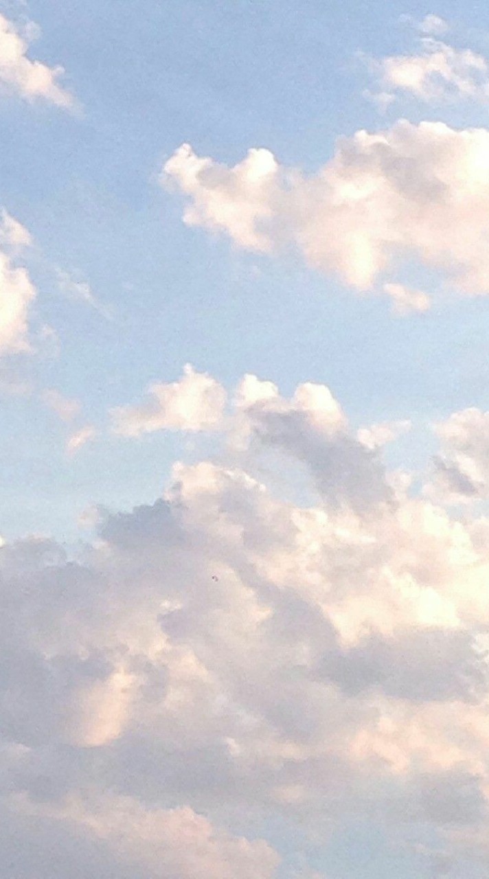 愛知県民の歌い手オタク集合~‪.ᐟ‪.ᐟ