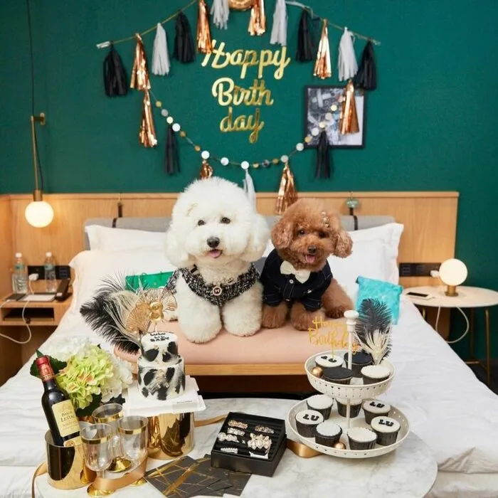 位在忠孝SOGO對面巷弄裡的【金普頓大安酒店】這間台北住宿貌似豪宅，但卻是一家隱身社區的高級飯店，內部空間色調簡約，頗有無印良品的舒適感，盥洗用品則使用荷蘭天然香氛品牌。同時也是間寵物友善旅店，貓奴狗奴們也可以與你的毛小孩共度假日時光。