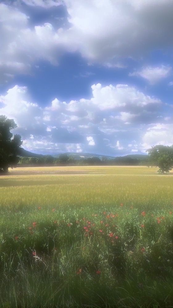 くだらない話で溢れさせて；突発！３ｈ全也顔面ハント