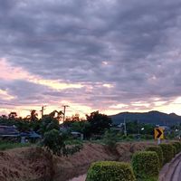 Merting ชิวๆ