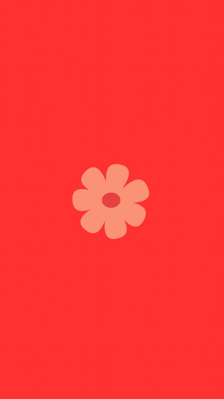 【31】はなキャリ🌸
