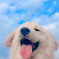 談心嗎孩子🥺