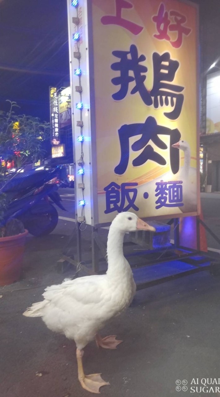 小農水族（屏東內埔）