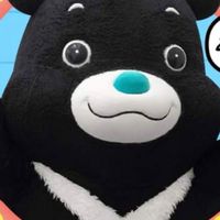 行善社宅毛小孩