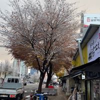 Nov5姊妹聊天群