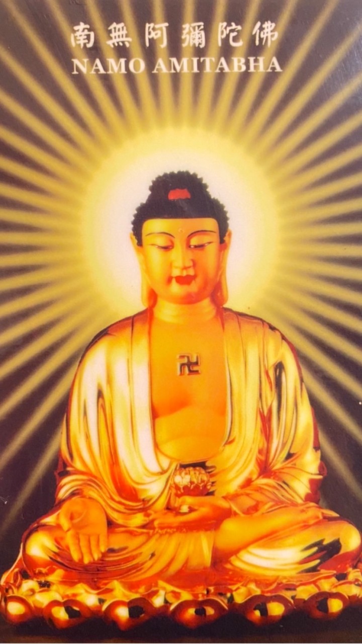 全球念佛交流平台