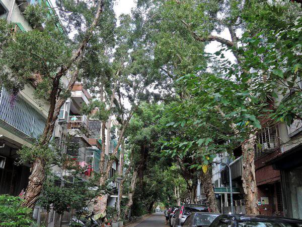 自備千萬卻捨台北買新北網 肯定後悔 好房網 Line Today