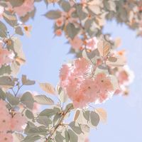 ღ幽 綰 棯 沐 ོ🌷