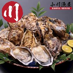 ◎瀨戶內海的潔淨與浮游生物豐富，造就牡蠣鮮肥飽滿，帶有獨特的鮮鹹礦物風味，搭配先進冷凍技術給您最佳鮮度|◎|◎品牌:小川漁屋類型:蝦蟹貝類組合說明:空運廣島全殼生蠔30顆（100g+-10%/顆）部位