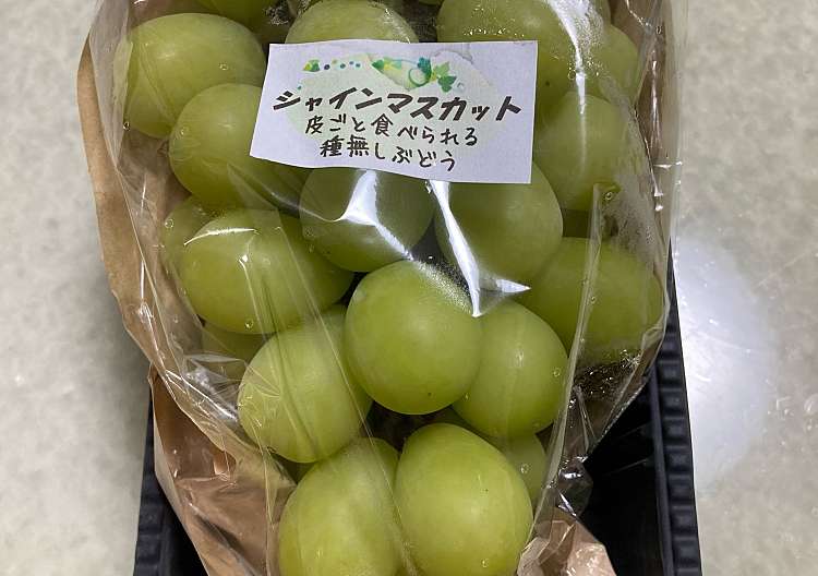 群馬県産 葡萄つる 1150g recuperato.com.br