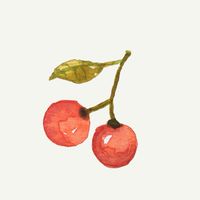 🍒 Ivy，不在家！旅遊聊天室