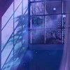 木星群組