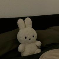 ぜんなり❣️