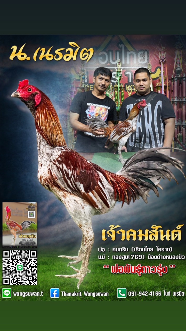 เนรมิต พม่าพัฒนา