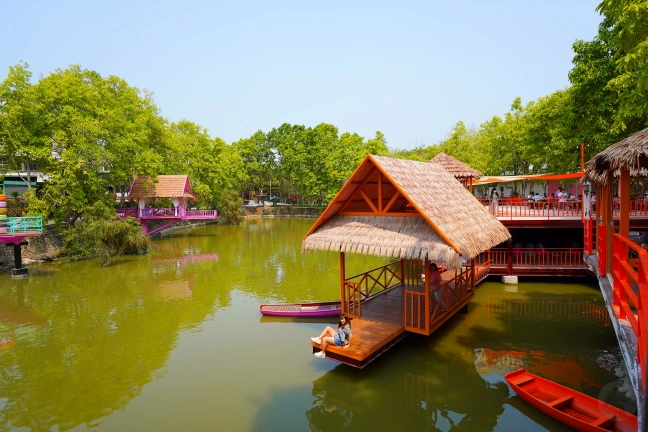 中部景點,斗六景點,斗六花旗木,近水樓台,近水樓台湖畔森林咖啡,近水樓台湖畔森林咖啡交通資訊,近水樓台湖畔森林咖啡停車場,近水樓台湖畔森林咖啡停車場花旗木,近水樓台湖畔森林咖啡門票,雲林IG打卡點,雲林景點,雲林網美景點,雲林花旗木近水樓台湖畔森林咖啡花旗木