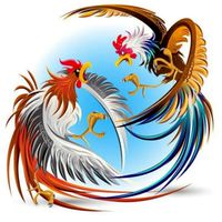 สนามซ้อมคัดไก่ พนัสนิคม