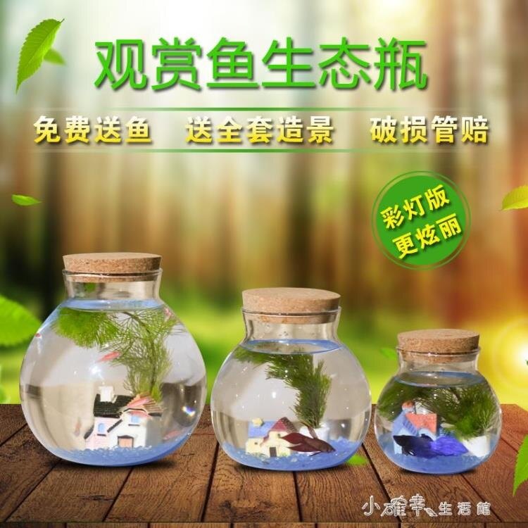 【夏日上新！】創意水族缸生態瓶觀賞魚缸微景觀活體創意魚缸小型個性魚缸