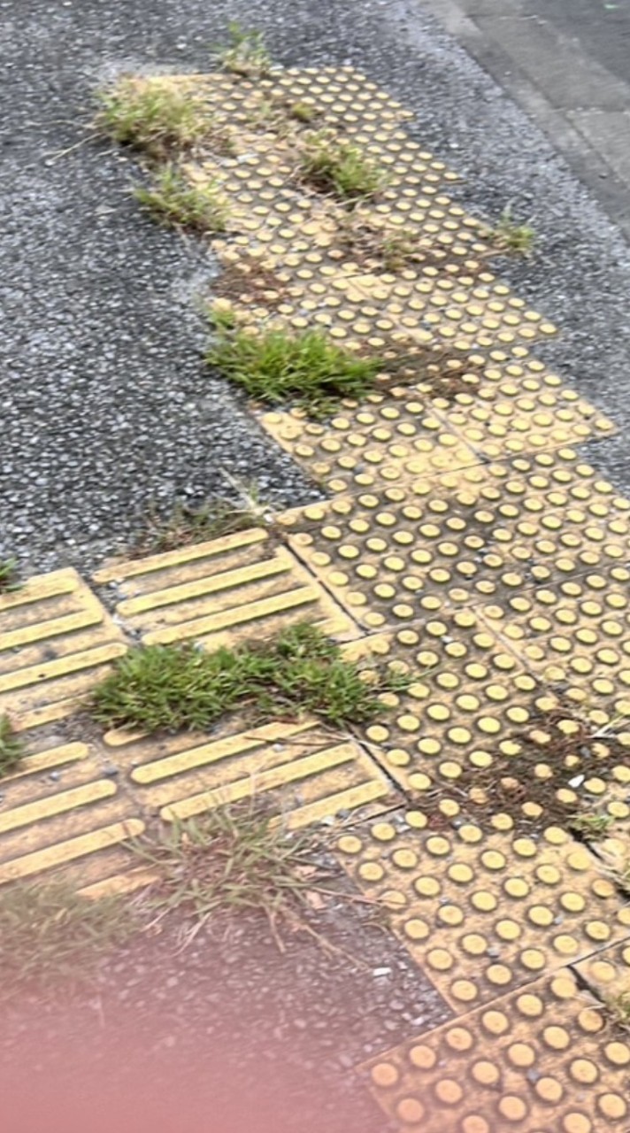 チームオナマル