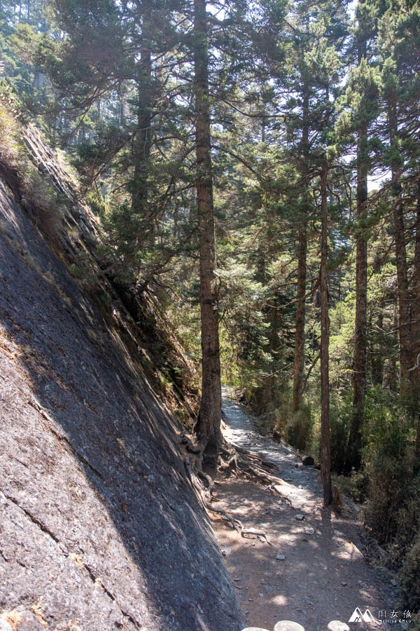 山女孩MelissaxMao冒險生活_玉山主峰東峰西峰兩天一夜_登山紀錄分享-45.jpg