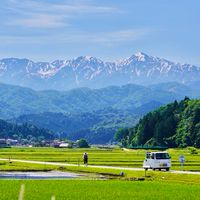 とやまテロワールベジコンソーシアム(TOYAMA YOJOチーム)