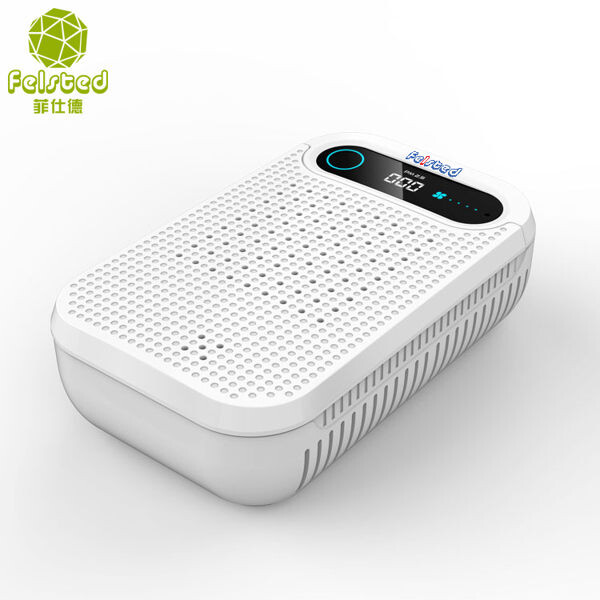 （Felsted菲仕德）車載/家用迷你小型空氣清淨機 土城現貨 可自取