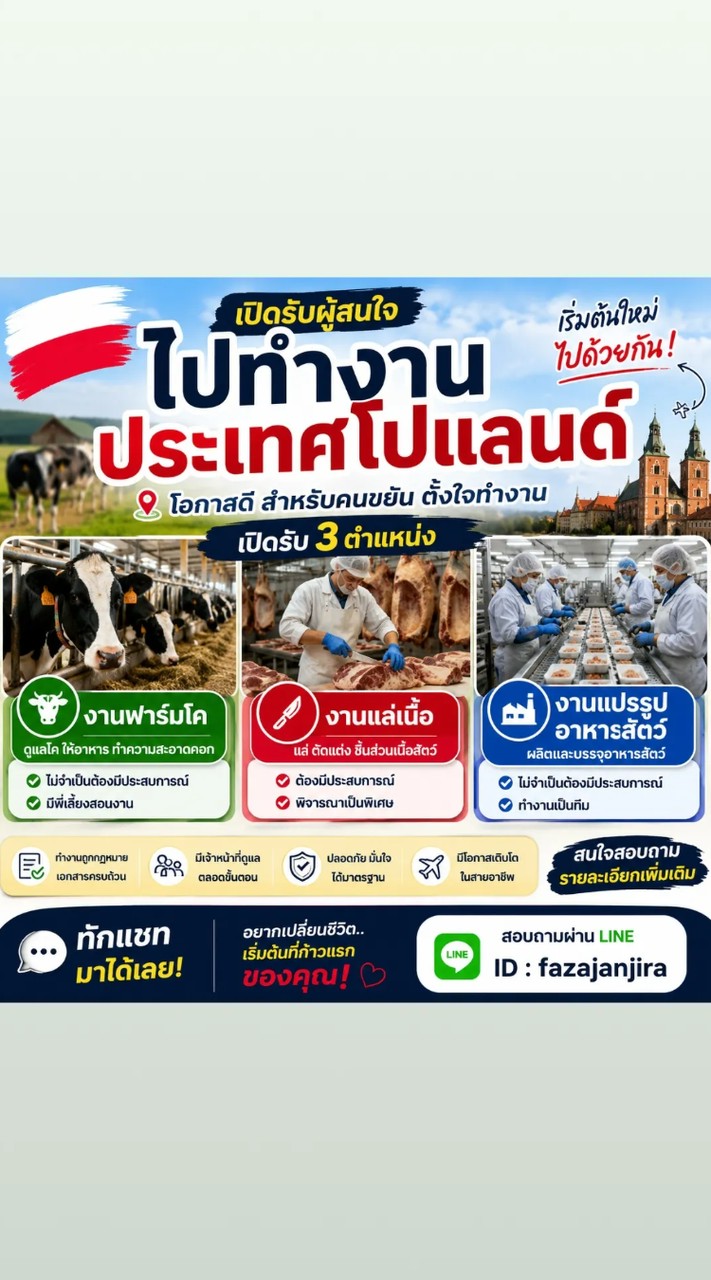 งานโปแลนด์บริษัทฟาเอส