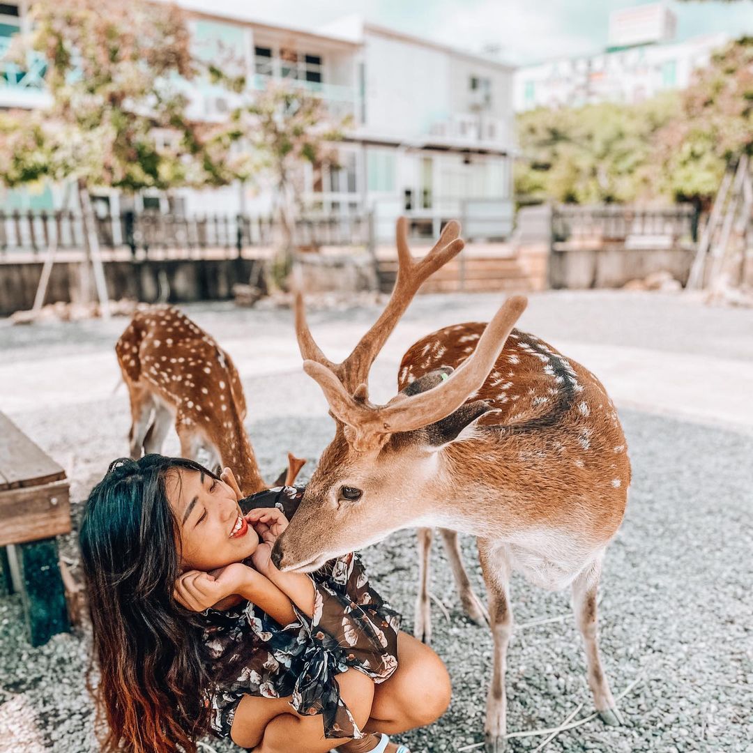 墾草趣 @chenyiting616