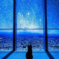 男女関係なく雑談、ペアがしよー！