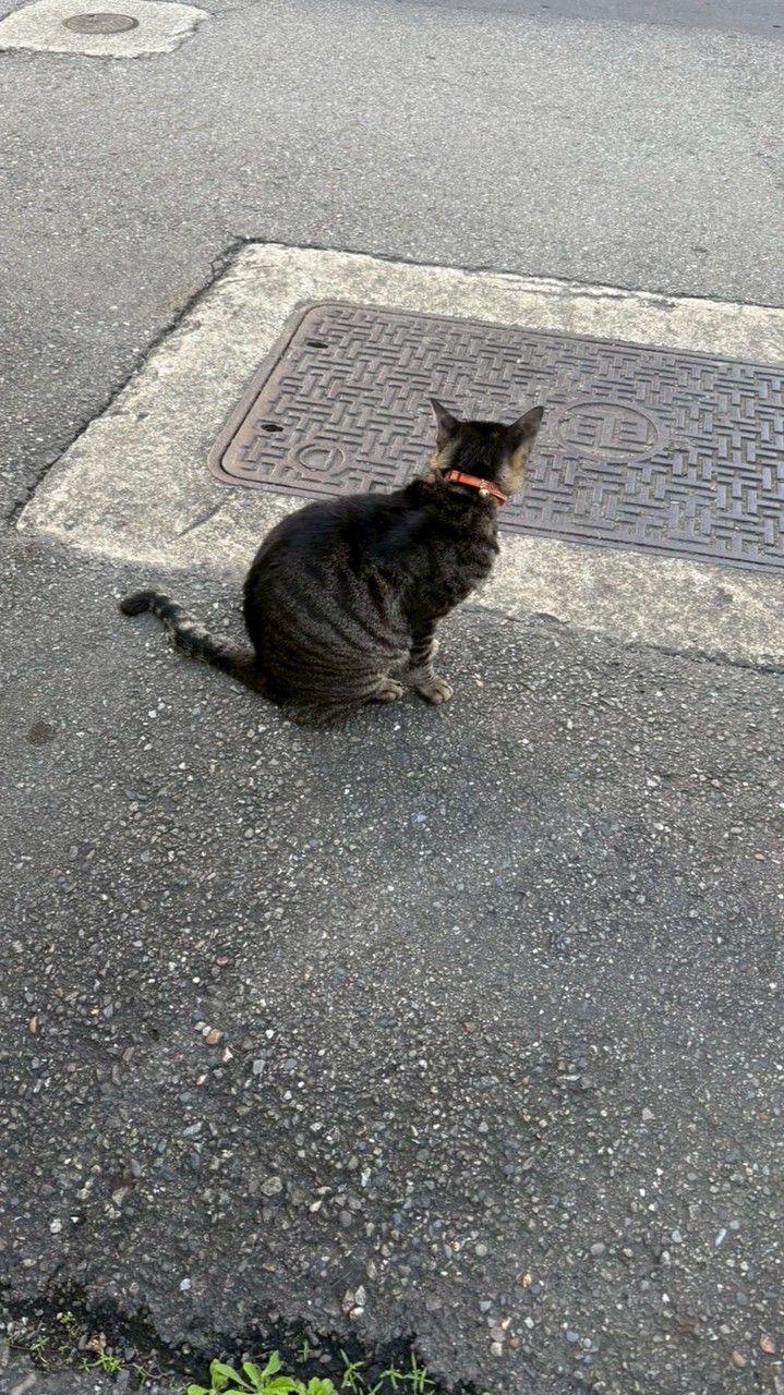 純素呱呱叫Gua Gua Vegan