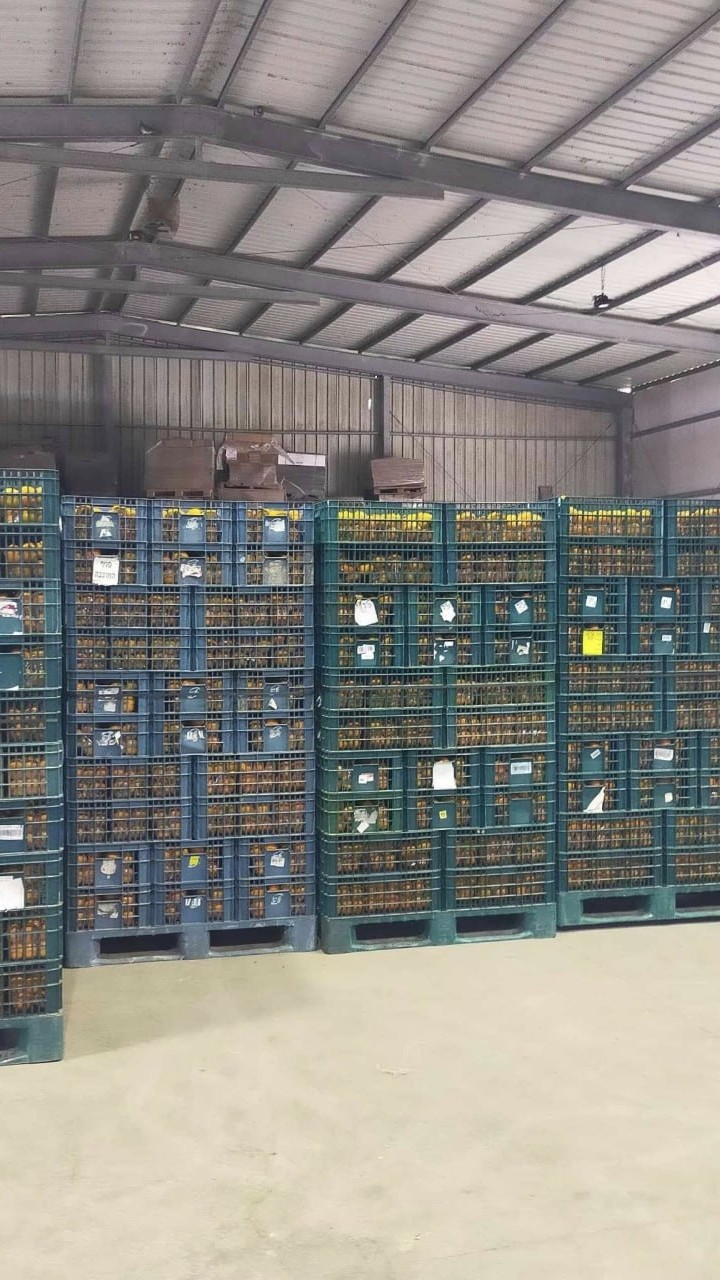 ยืนขอวีซ่า รอบบินเมษา