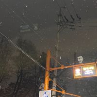 4/1～4/20韓國連線🇰🇷