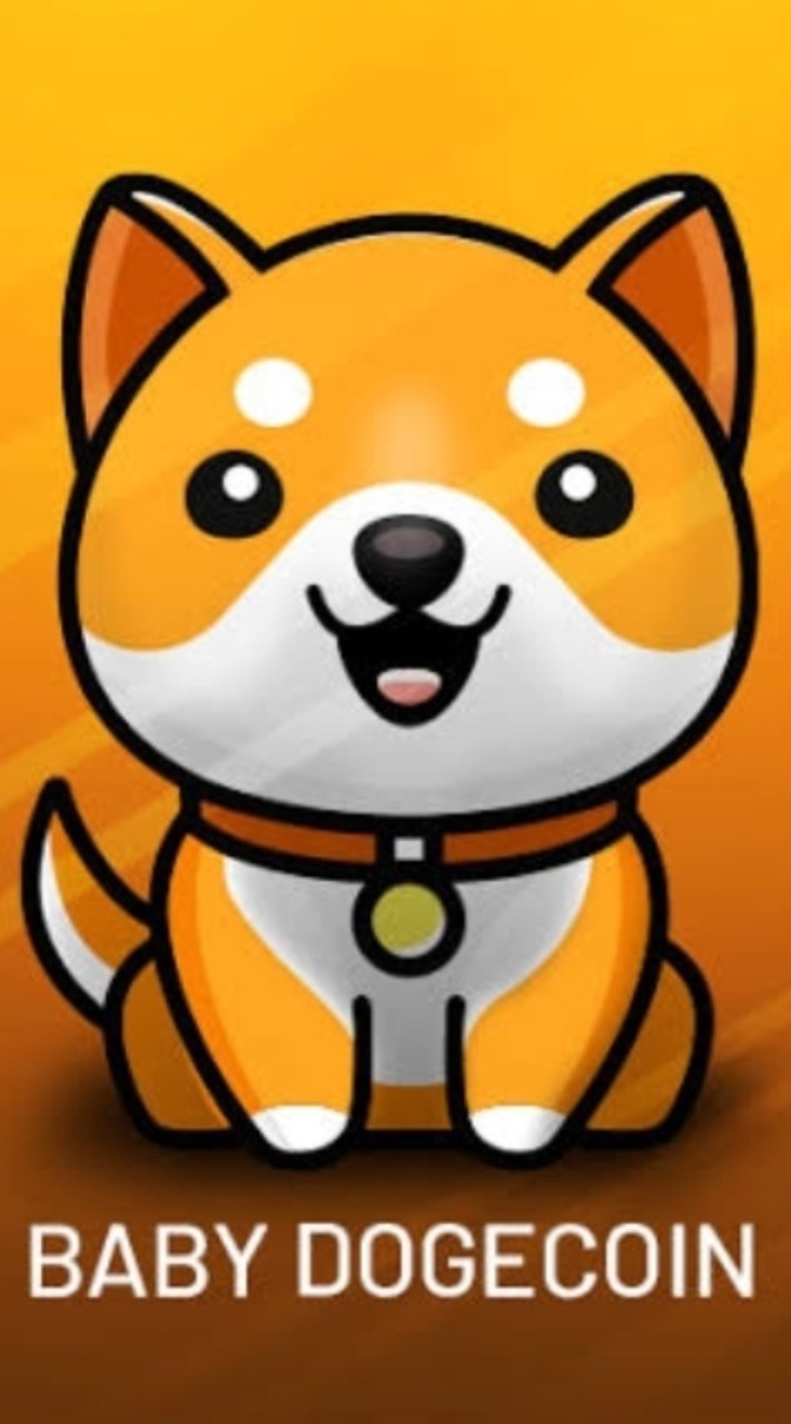 Babydoge