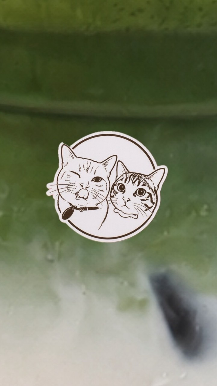 Cat drink : แม่แมวชงกาแฟ