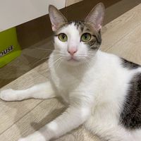 樂樂の零食補給站
