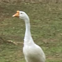 112客社大一新生