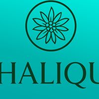 Chalique KOL
