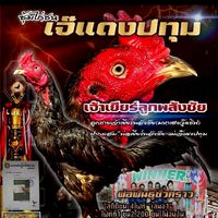 เจ๊แดงปทุม by ส.อัศวิน