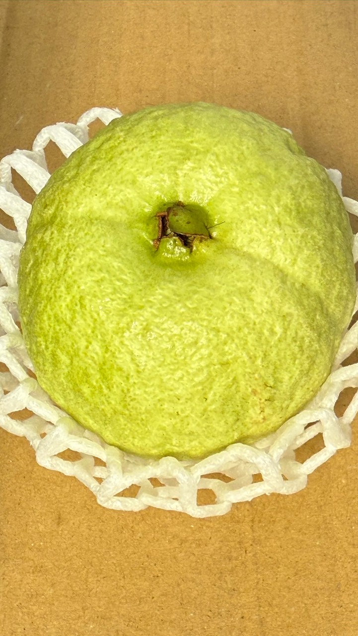 今天來點甜水果？！