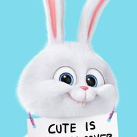 🐰NI的後宮佳麗和她的老婆們🐰