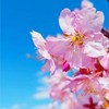 明るい家庭内別居　アラフォー　アラフィフ　前向き　女性